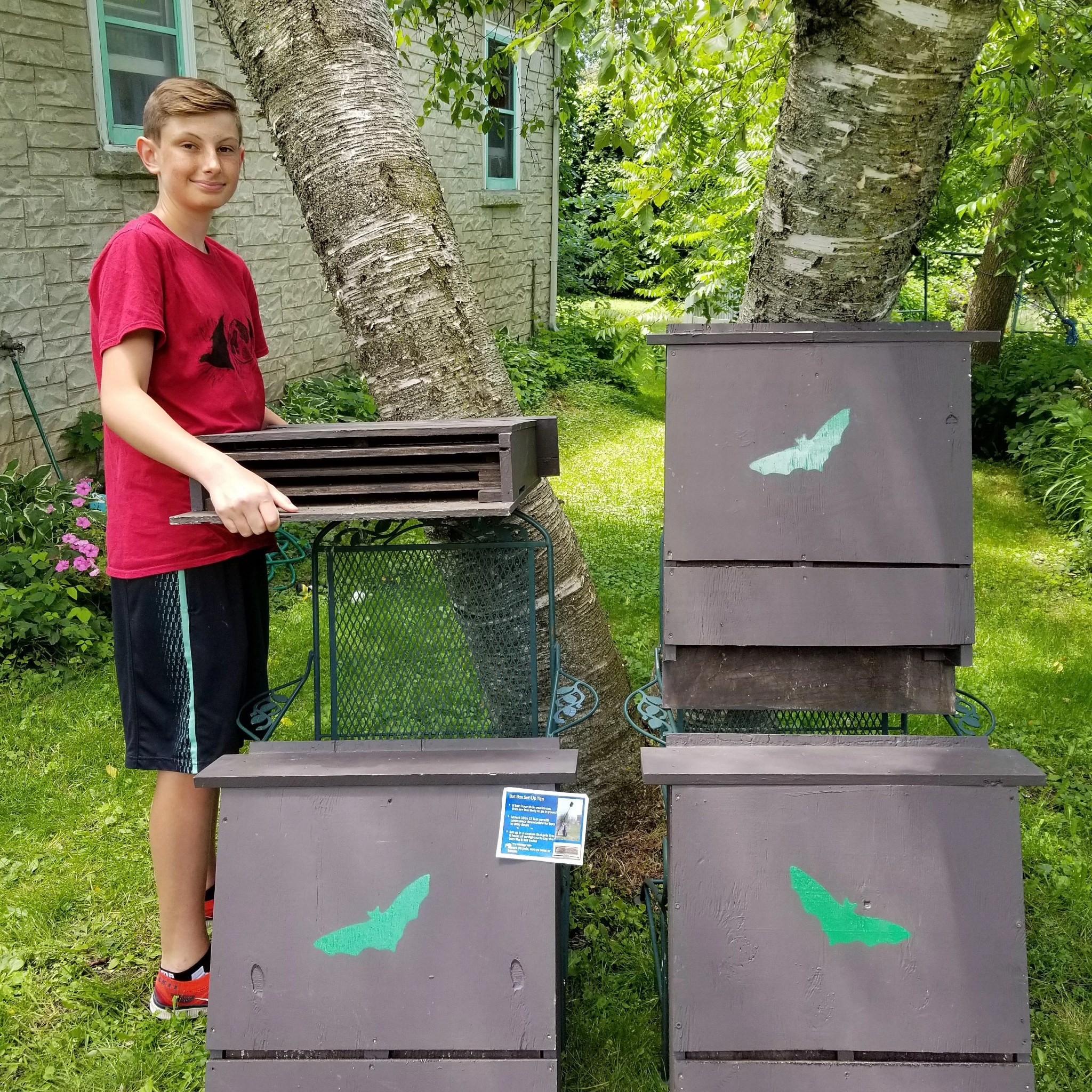 Bat House Wisconsin at Michael Austin blog